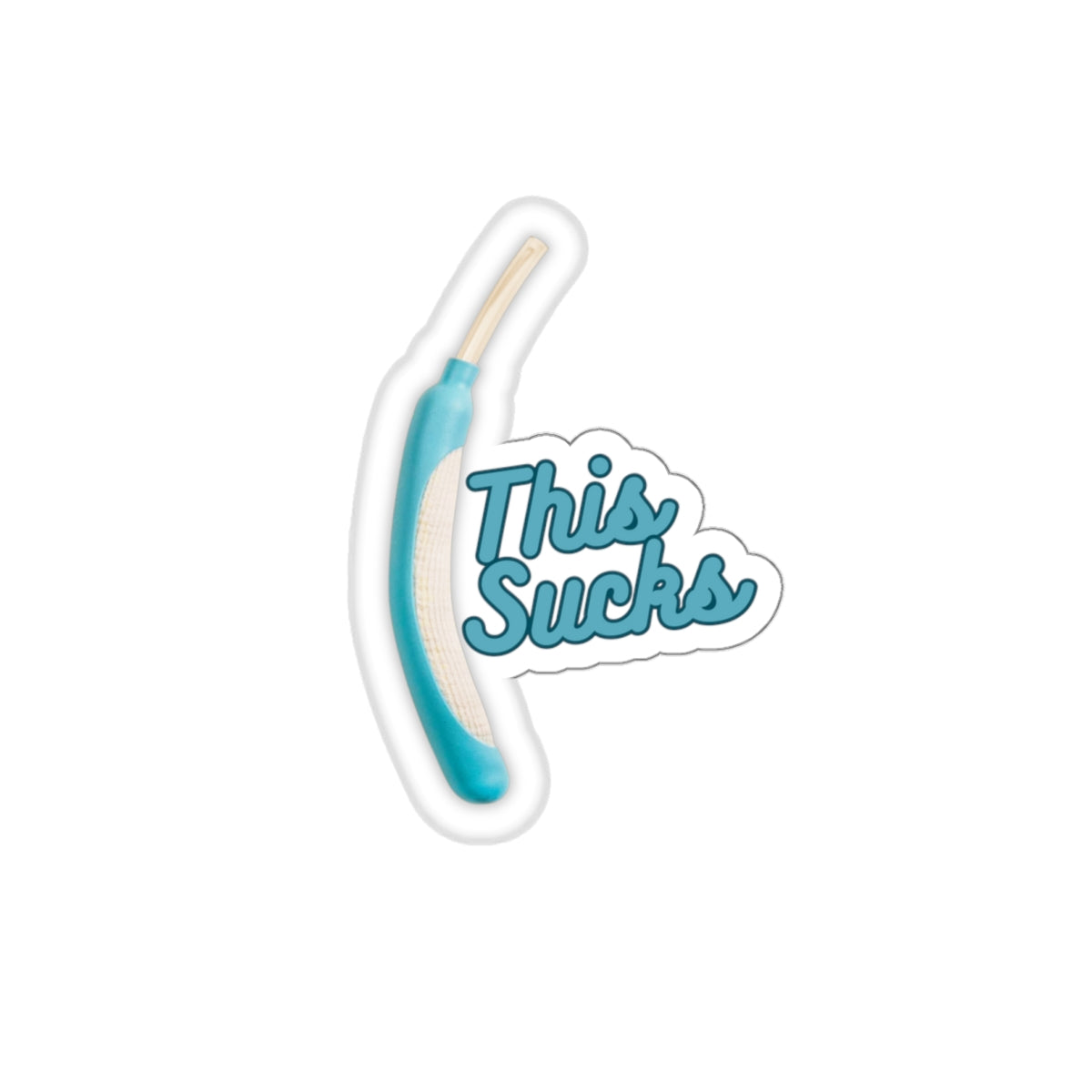 This Sucks, Cooter Canoe, Peach Leech, ICU Nursing Fun, Die-Cut Stickers